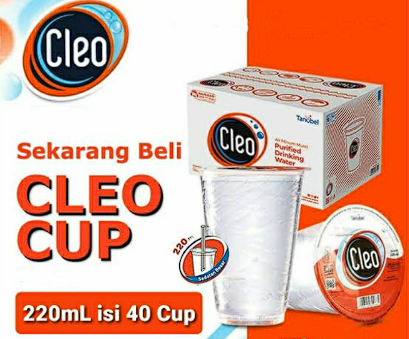 Cleo Dus / Karton